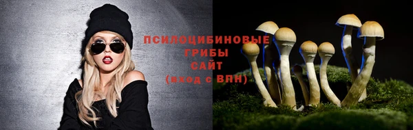a pvp Верхний Тагил