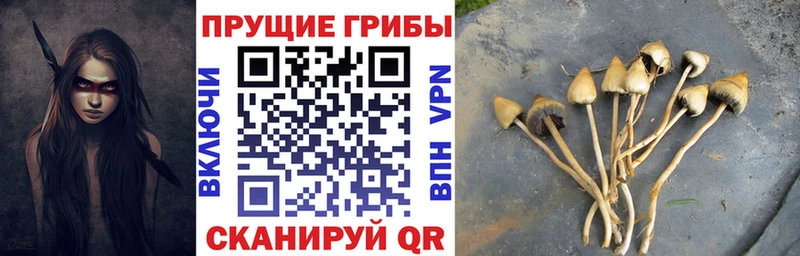 darknet состав  hydra ССЫЛКА  Галлюциногенные грибы MAGIC MUSHROOMS  Острогожск  как найти закладки 