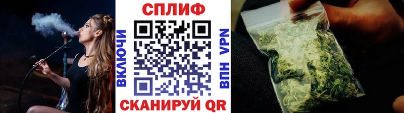 где найти   Острогожск  shop официальный сайт  Бошки Шишки SATIVA & INDICA 